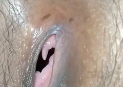 pussy close-up